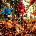 Gratis activiteiten OERRR Wilde Buiten Dagen