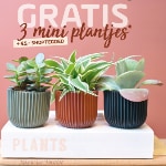 Gratis 3 Mini Plantjes en €5,- Shoptegoed bij Coppelmans
