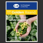 Gratis Groninger Landschap Golden Raand Magazine